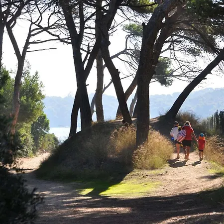 Villa Hyegrasse Pour 6 Personnes A 100 Metres De La Situe Sur Le Port D'hyeres *
